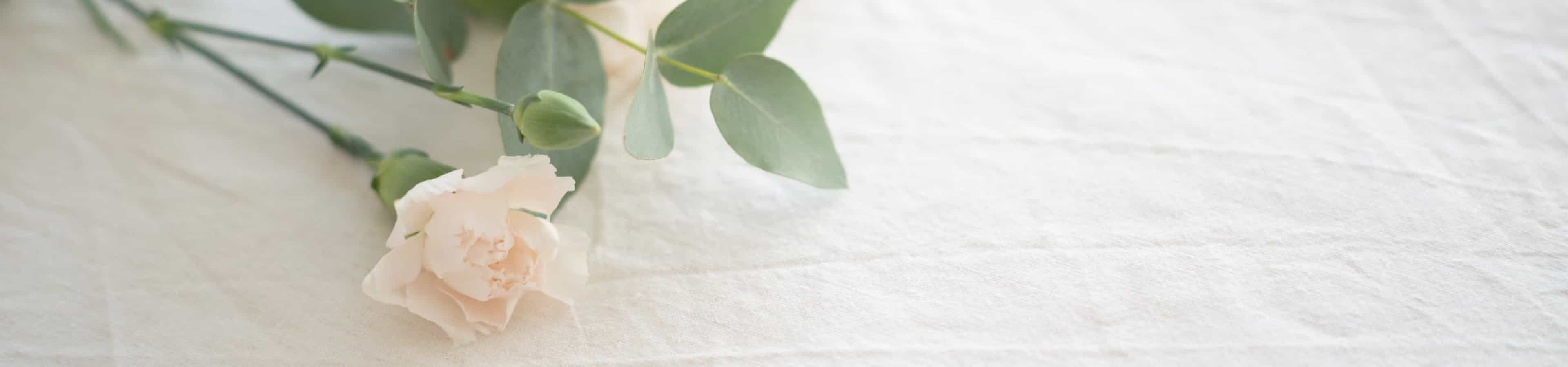 ozadje za pogrebna podjetja