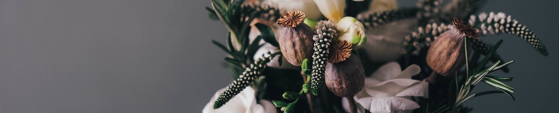 ozadje za cvetličarne