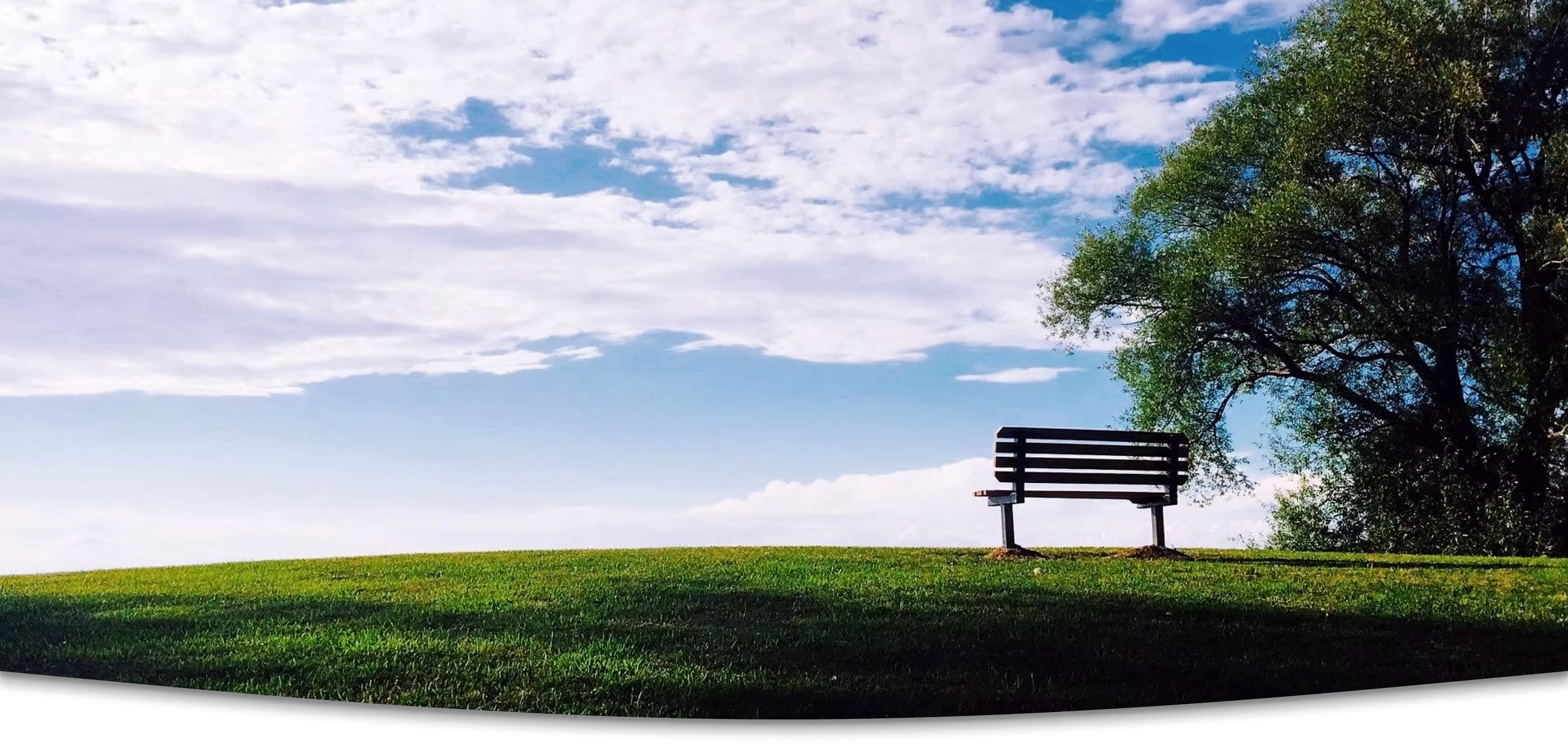 Naj spomin ne zbledi