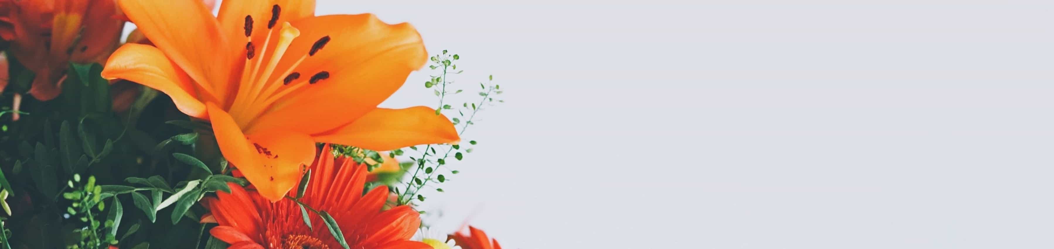 Ozadje za cvetličarne